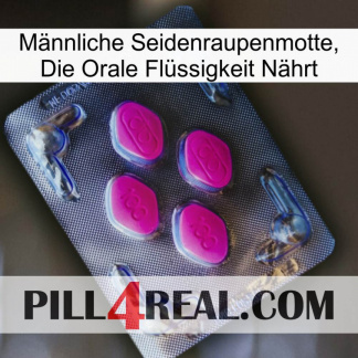Männliche Seidenraupenmotte, Die Orale Flüssigkeit Nährt 02